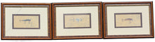 Load image into Gallery viewer, Shipman, (?) Three Mixed Media Gouaches of Fishing Lures