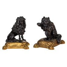 Load image into Gallery viewer, A Pair of Louis XVI Style Ormolu and Patinated Bronze Chenets