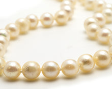 Load image into Gallery viewer, A Pearl Necklace