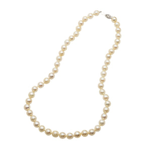 A Pearl Necklace