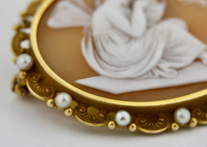 Shell cameo brooch