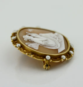 Shell cameo brooch