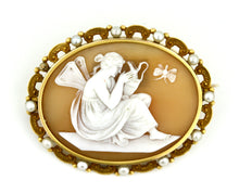 Load image into Gallery viewer, Shell cameo brooch